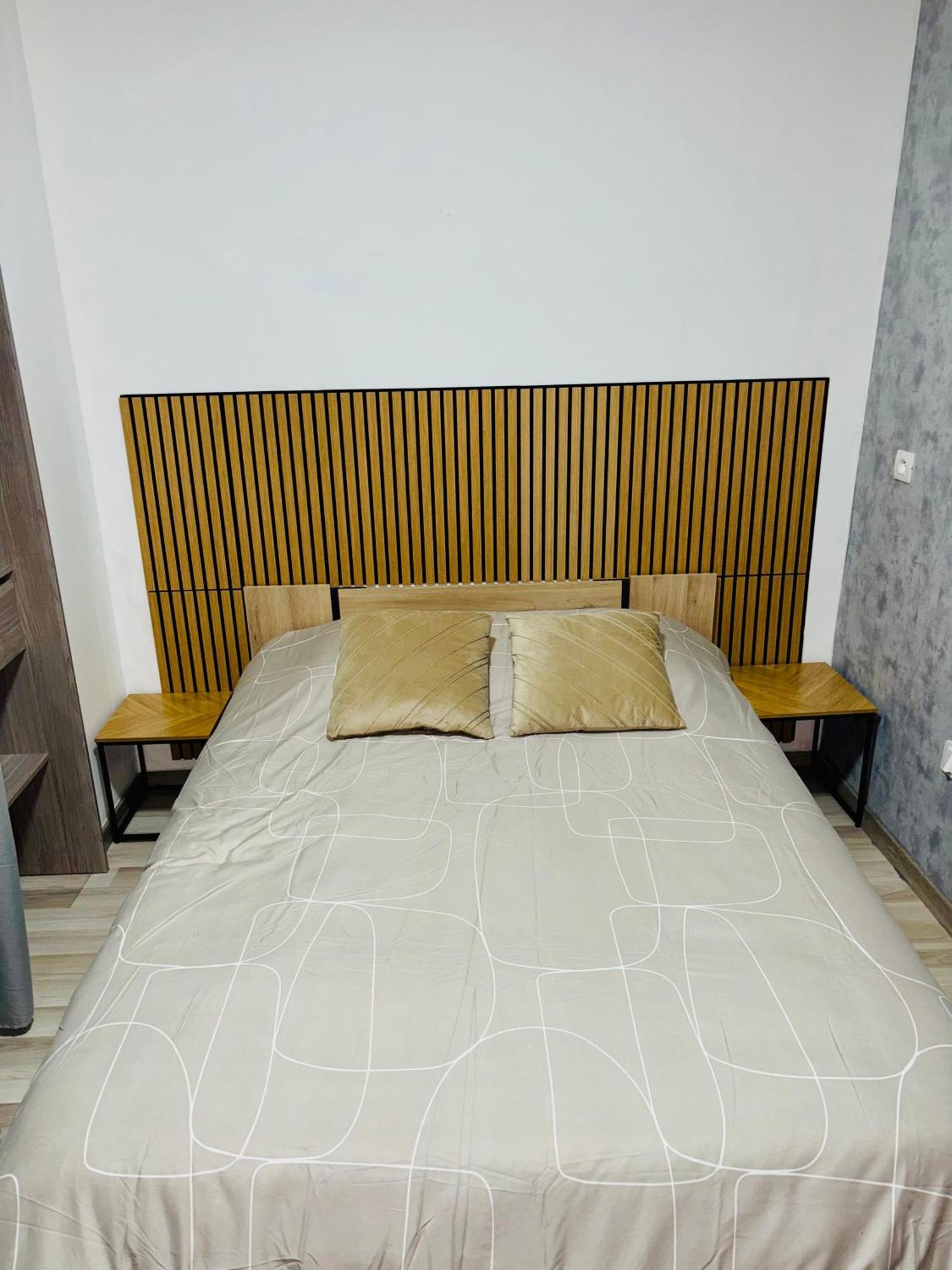 Apartment Moderne Centre De Dijon